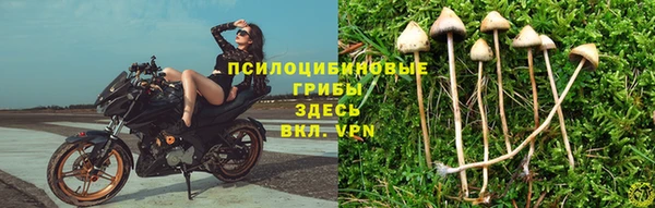 прущий лед Аркадак